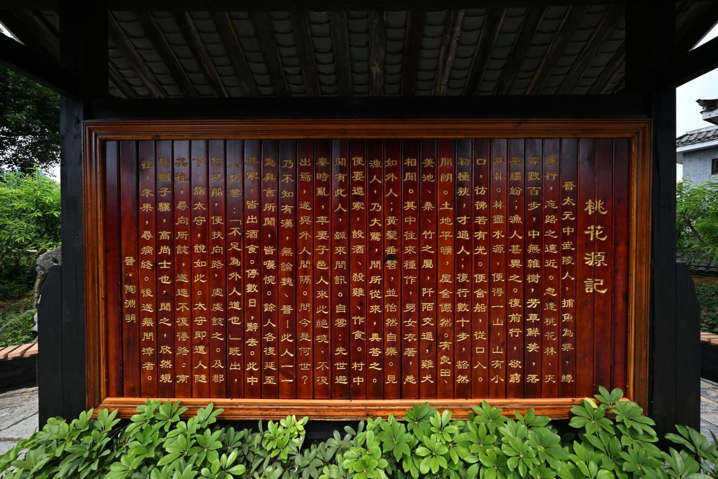 渊明溯源